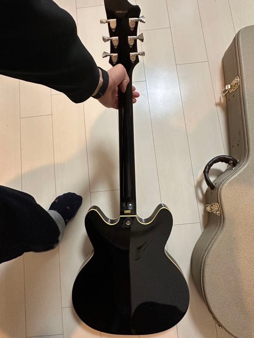 Hagstrom Viking セミアコギター＋ハードケース