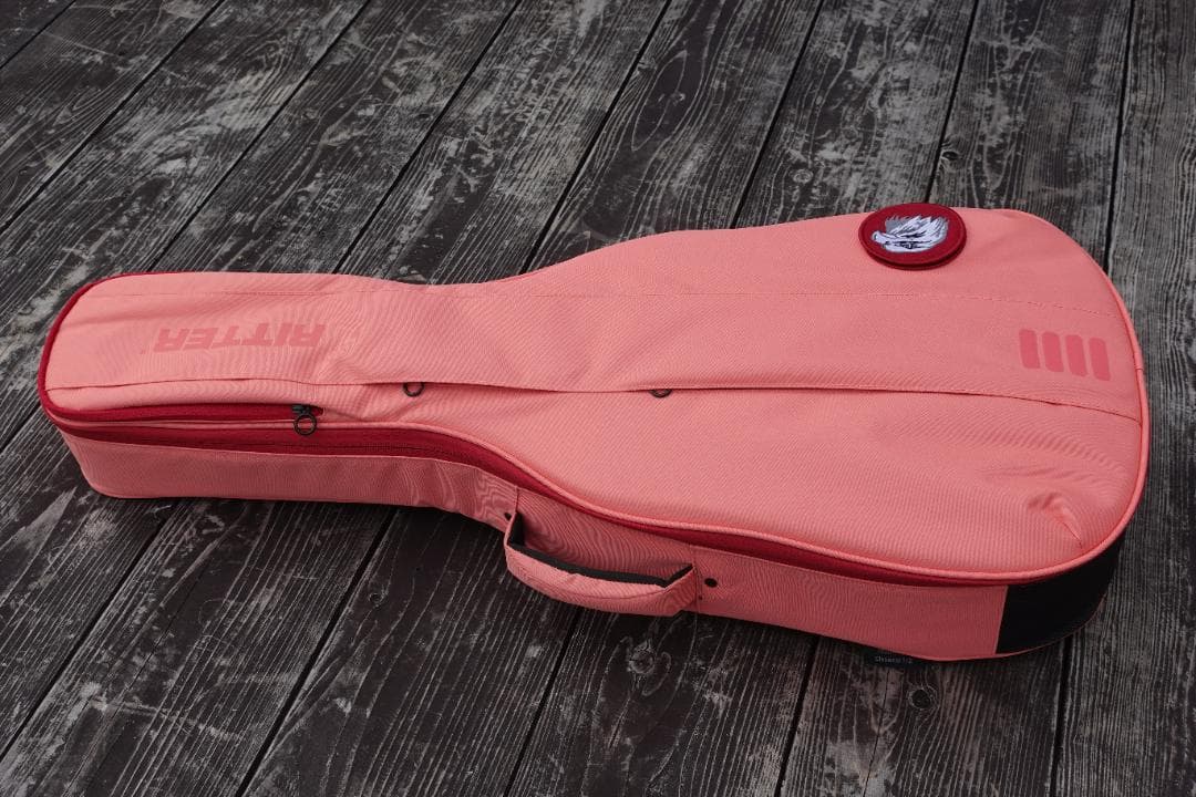Baby Taylor Mahogany (BT2)とRITTERのギグバッグ