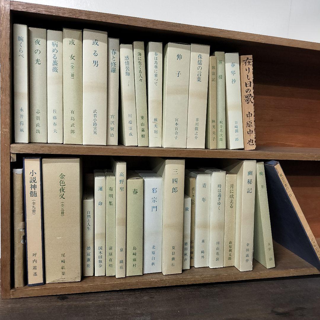 ほるぷ出版『精選 名著複刻全集 近代文学館』全揃(保護函欠あり)【古書】