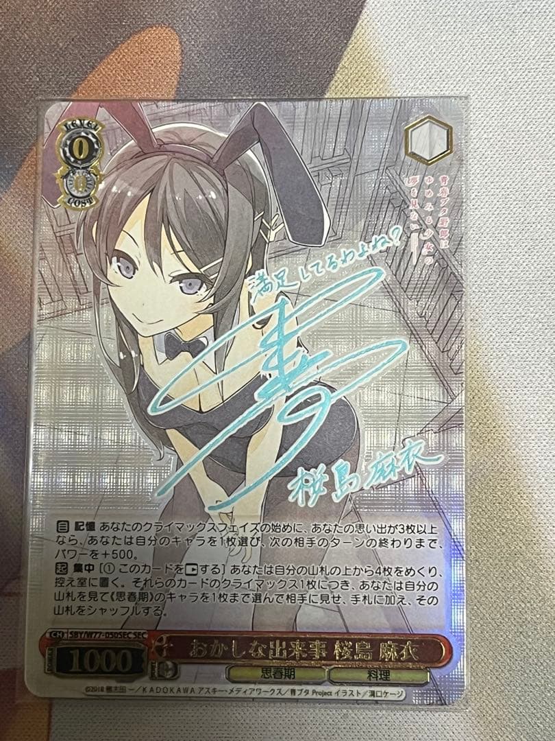 おかしな出来事　桜島麻衣　sec ws 青ブタ