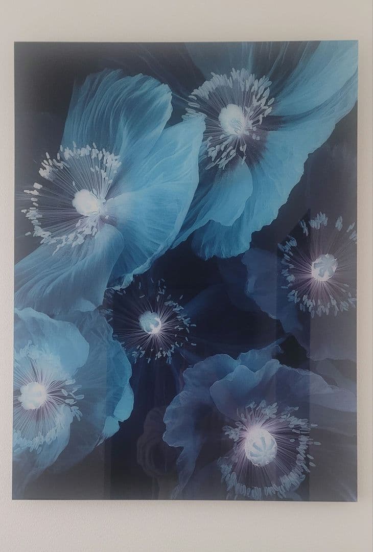 Yellow Korner　Fleurs De Pavot　60×80