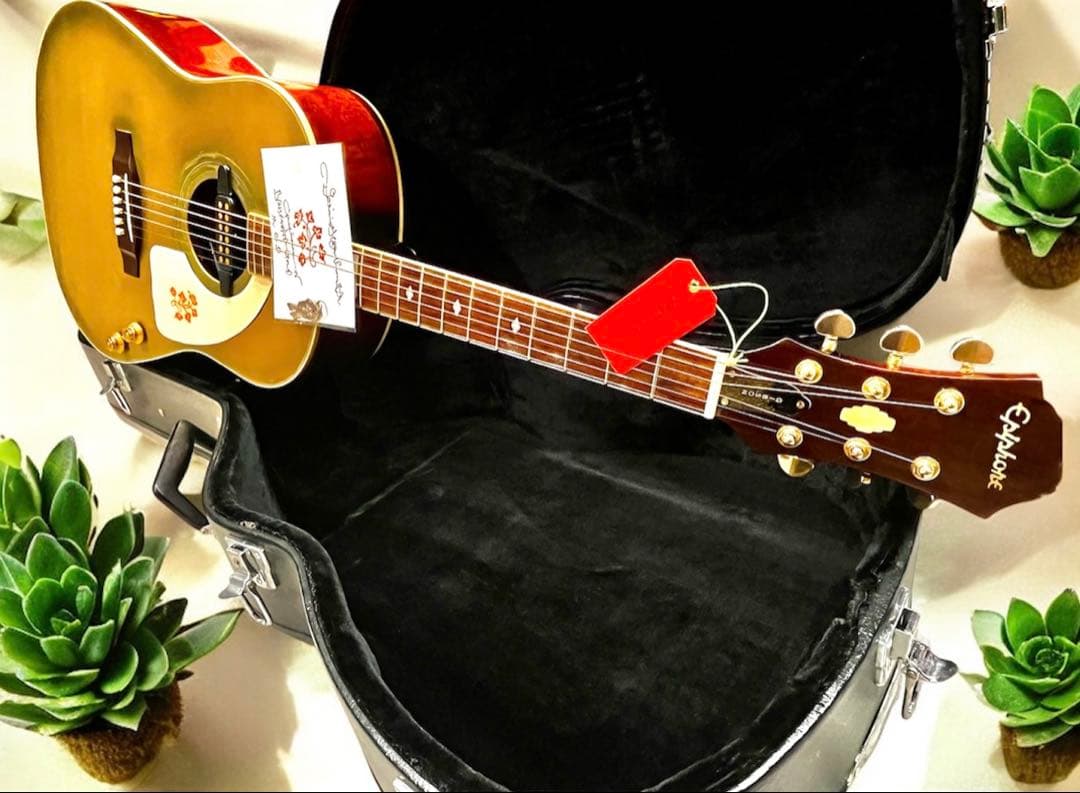 歩*鳥様 DeliciousTaylormade MOD エピフォンモディファイ