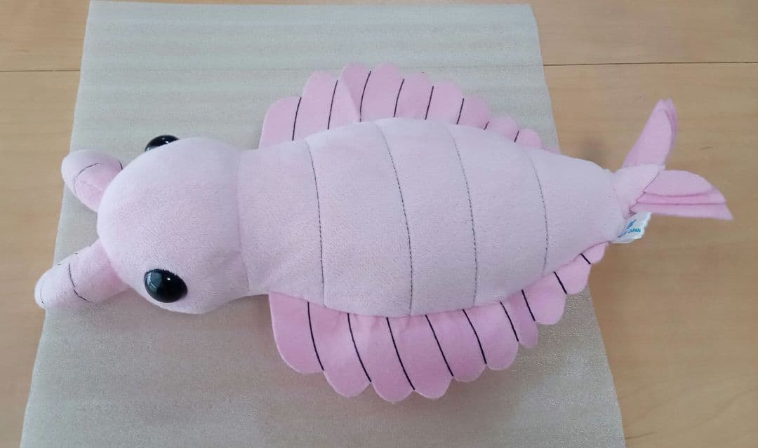 ♾️超稀少!! アノマロカリス＆ウミサソリのぬいぐるみ2体