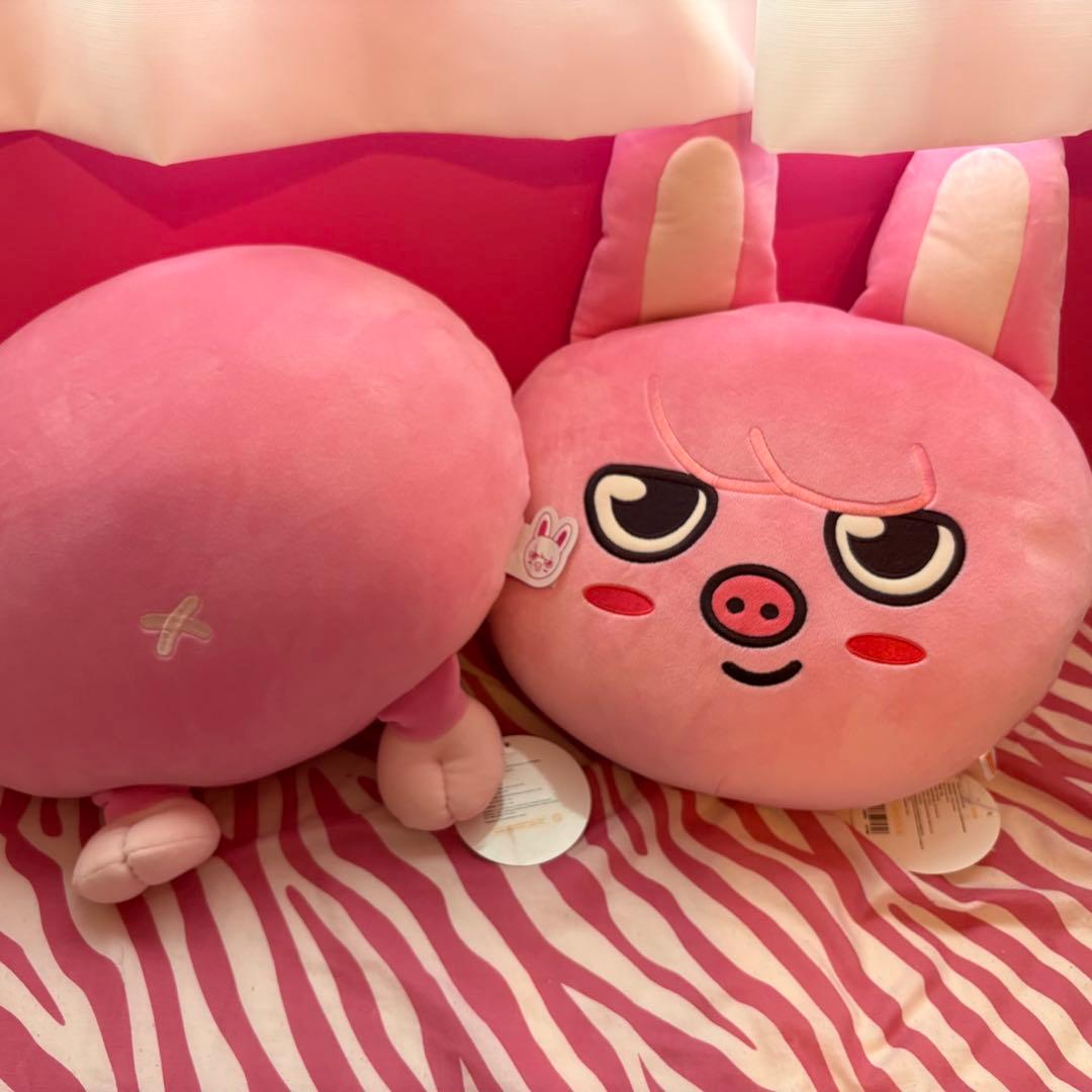 Straykids チャンビン　skzoo トゥエッキ　クッション