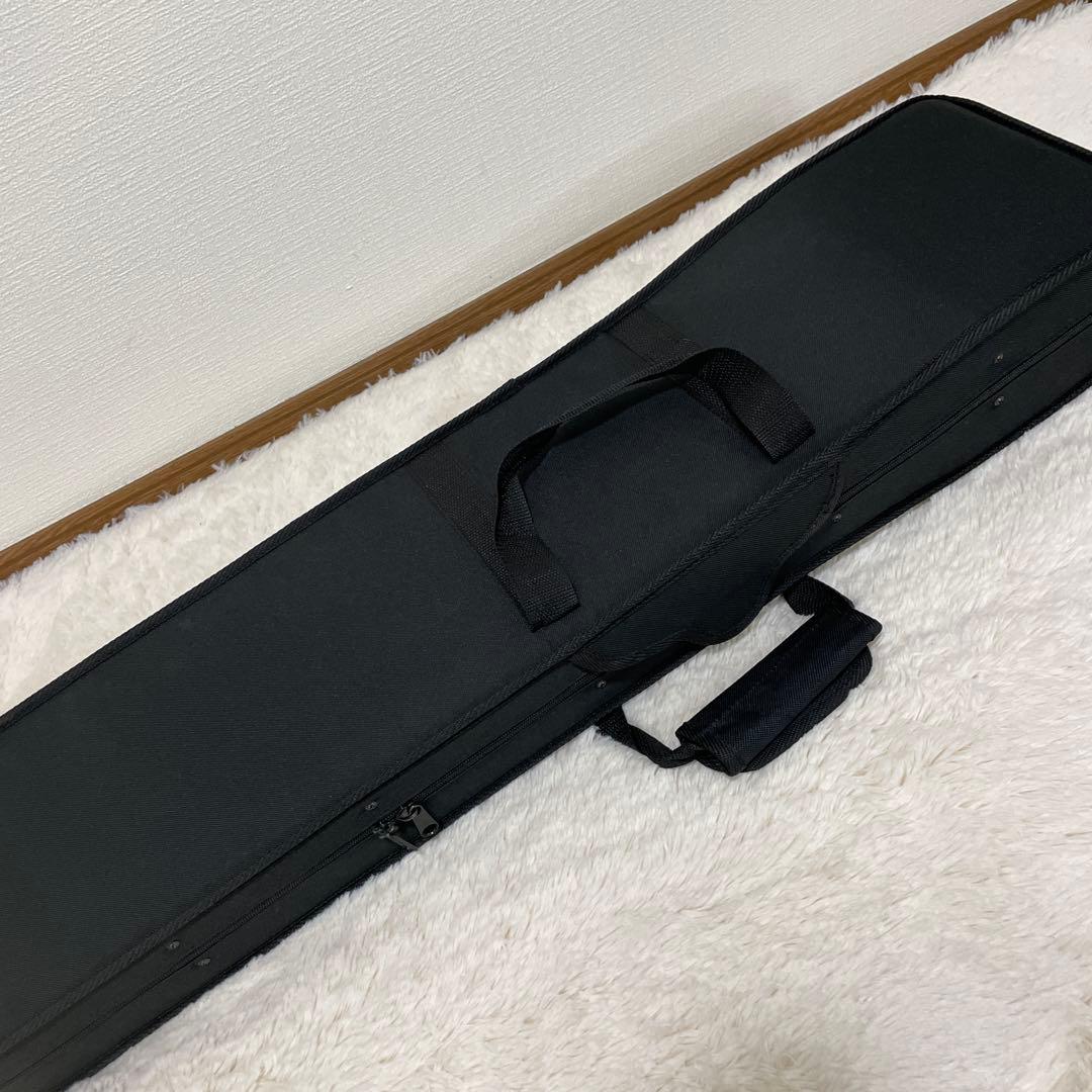 高級 二胡 張源精制 弦楽器 民族楽器 ハードケース 弓付属 和楽器 本革
