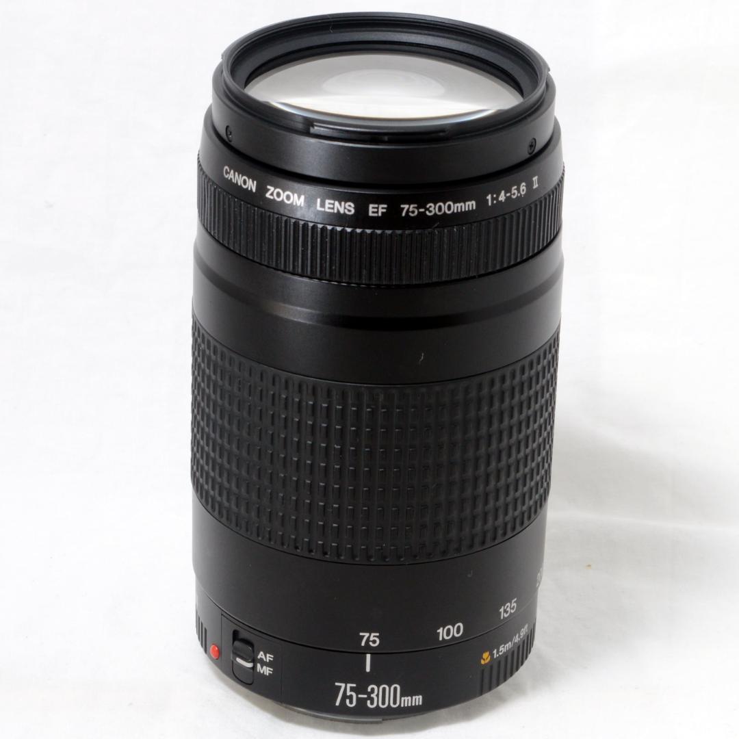 ★美品★Canon キャノン EF 75-300mm 4-5.6 Ⅱ 望遠ズーム