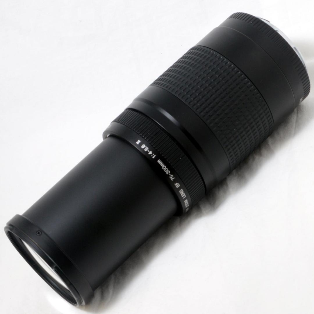 ★美品★Canon キャノン EF 75-300mm 4-5.6 Ⅱ 望遠ズーム