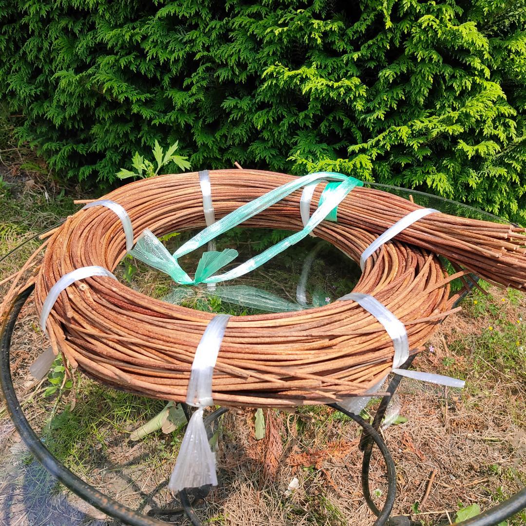 青森県岩木山採取　あけび蔓　150cm～　1kg