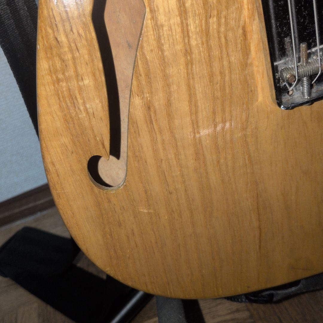 Vanzandt TLV-THINLINE 　ヴァンザント　テレキャスター