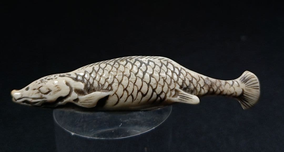 鯨歯彫 型彫 根付「川魚 」江戸時代 珍しい題材