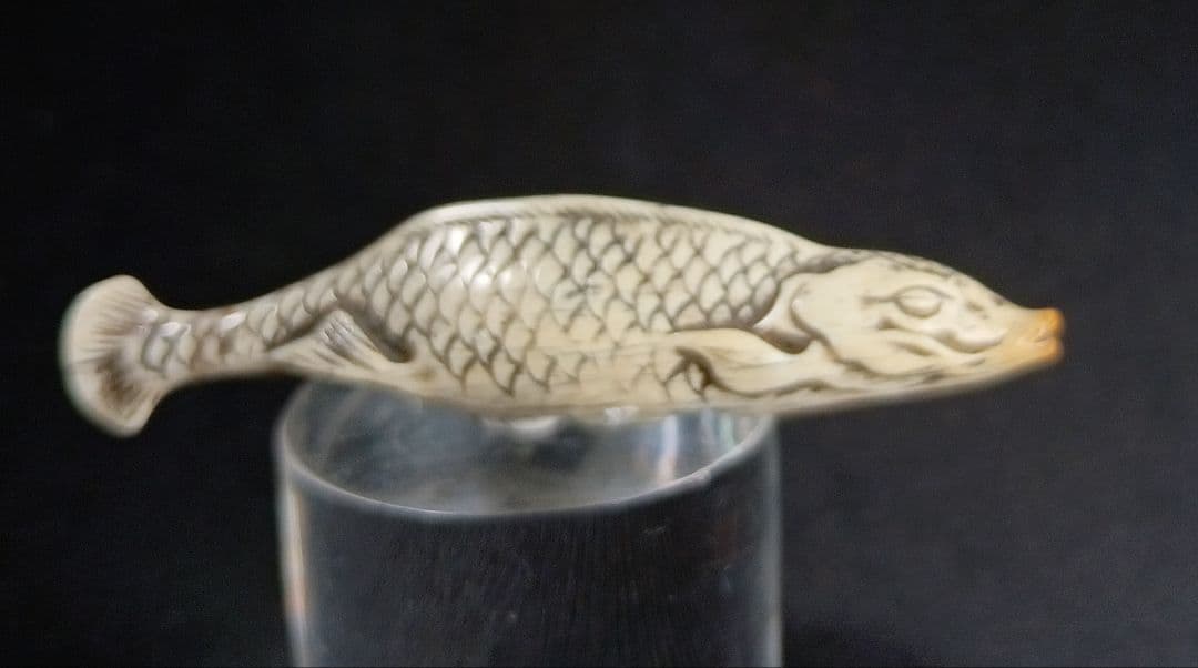 鯨歯彫 型彫 根付「川魚 」江戸時代 珍しい題材