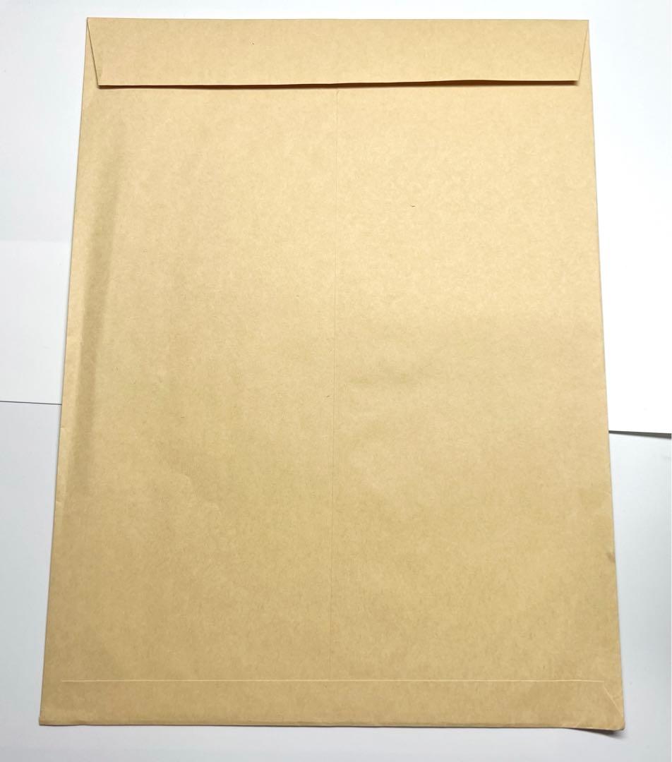 吸血鬼すぐ死ぬ　ロナルド　ドラルク　ジョン　複製原画　封筒つき