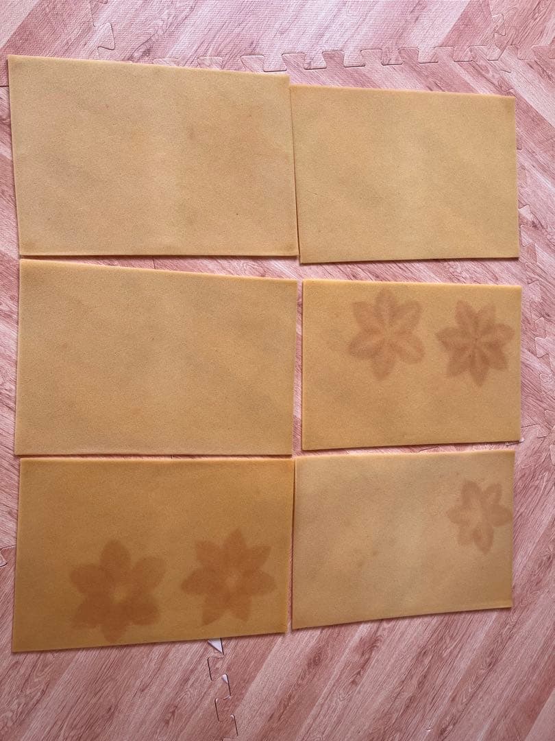 【動作確認済】柳川式電気押し花器 押し花器 ドライフラワー　作成機