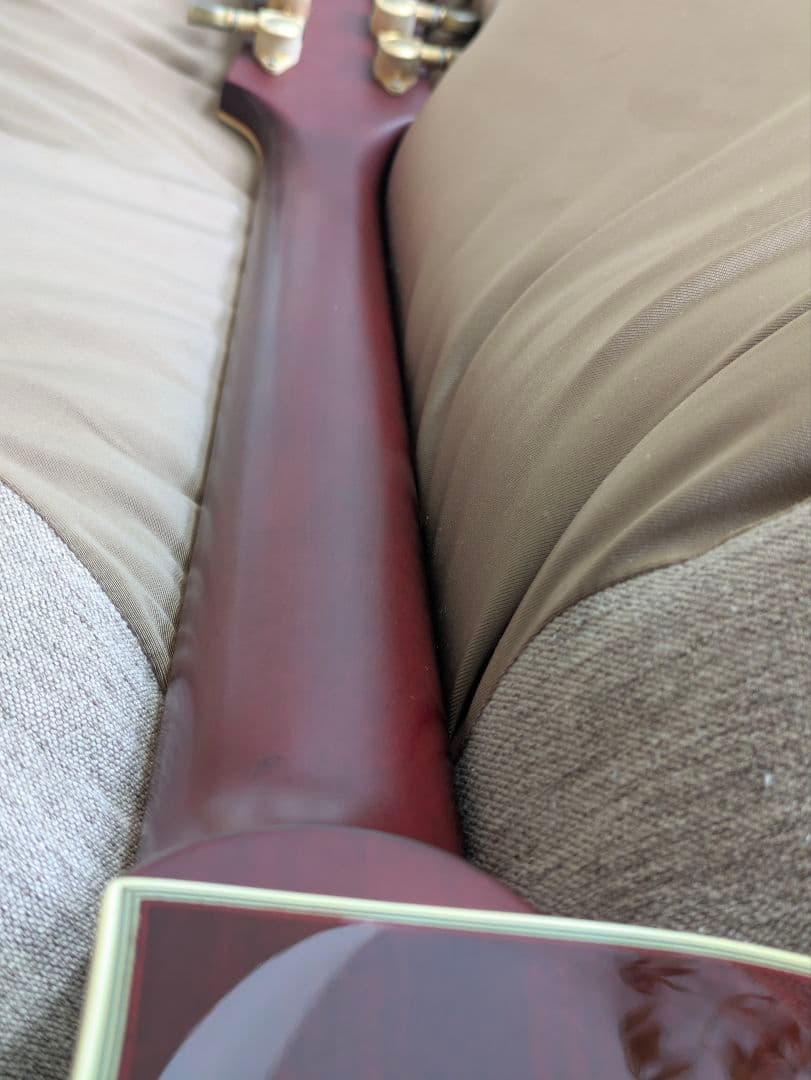 ギター Epiphone Les Paul Custom Prophecy GX