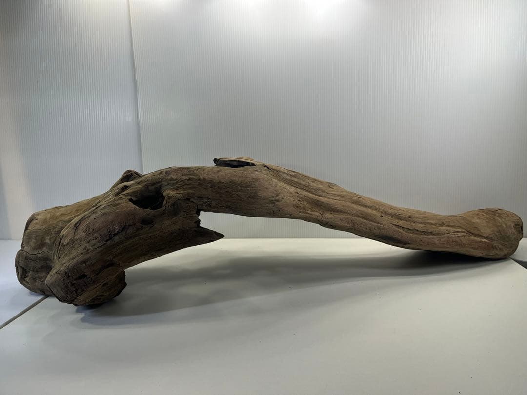 V45特大流木 アク抜き済み流木 爬虫類シェルター 登り木 インテリア 生け花