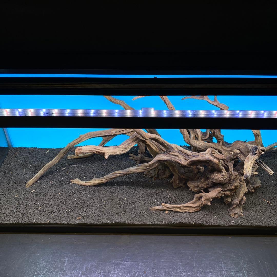 MSRW-6735 天然流木レイアウトセット　スリムウッド　アクアリウム