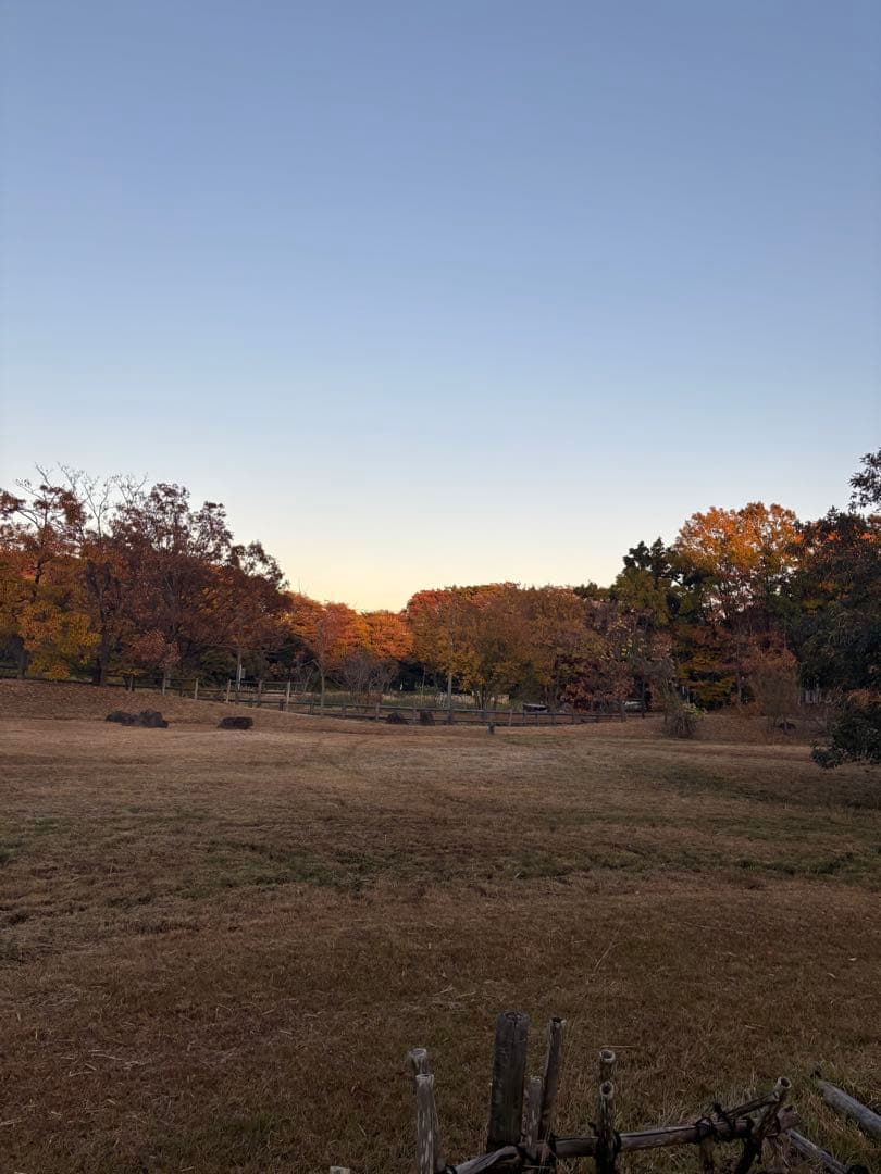 専用ページちゅーる2箱もセット