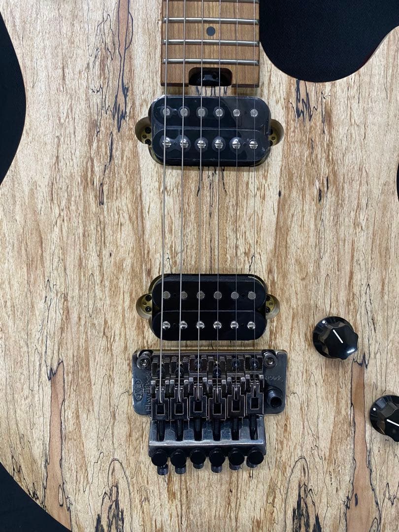 EVH エレキギター★ソフトケース付★