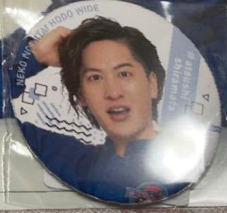 猫のひたいほどワイド 白又敦 アクリルスタンド 缶バッジ おまけ付 名前アクキー