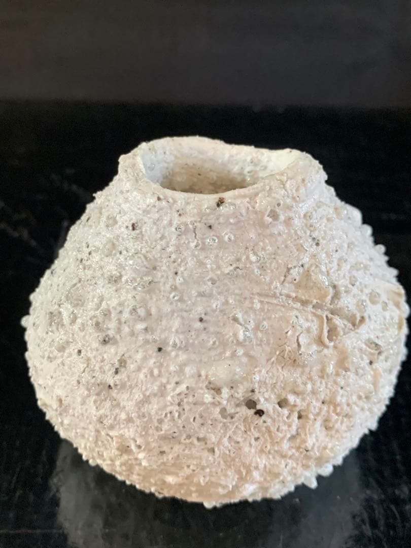 辻村史朗　白信楽小壺　A