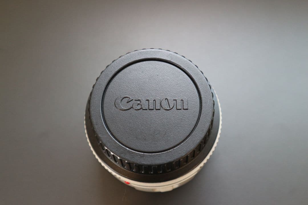 レンズ(単焦点) Canon EXTENDER EF 1.4x