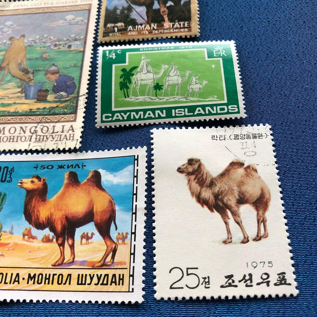 世界の駱駝（ラクダ）図柄の切手１０種　うちモンゴルが４種　癒されます！