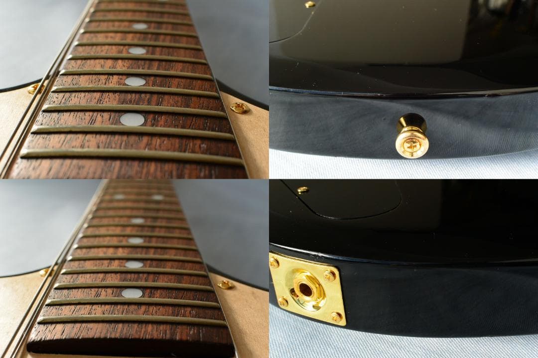 Aria Pro II CS-350T ピックアップ増設 バーズアイピックガード