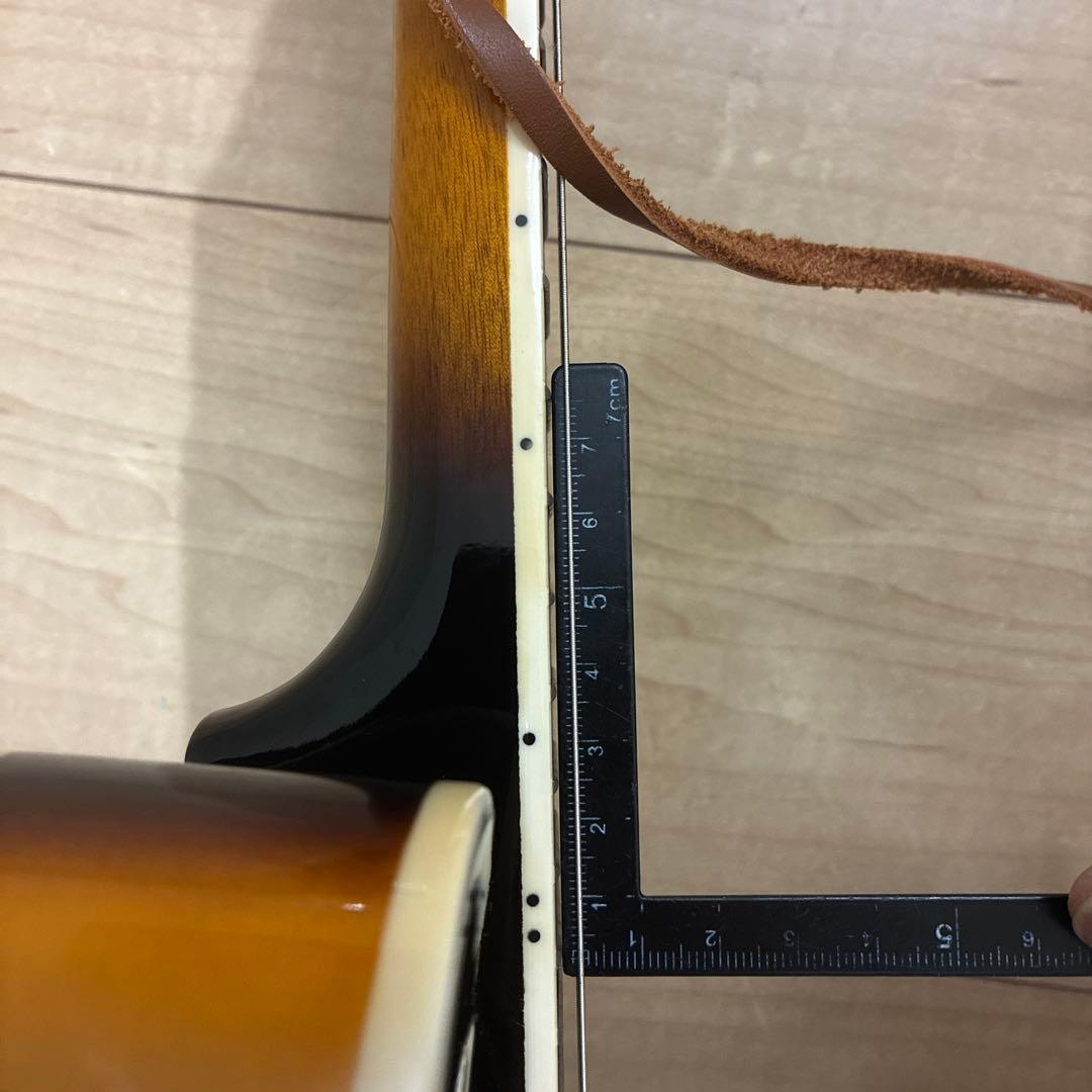 プレイテック　Playtech F型マンドリン　PFM10F ギグバック付き！