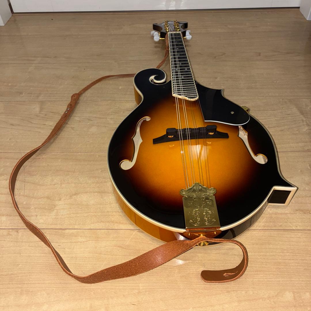 プレイテック　Playtech F型マンドリン　PFM10F ギグバック付き！