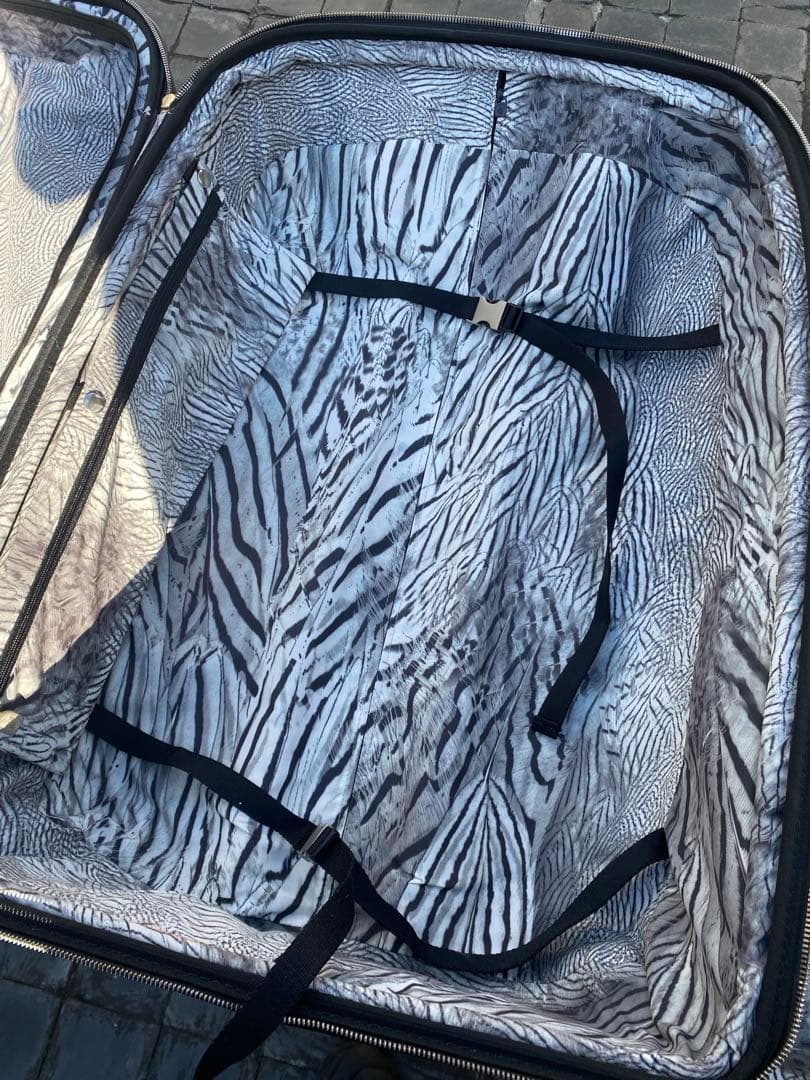 サムソナイト　アレクサンダーマックイーン　スーツケース　Samsonite