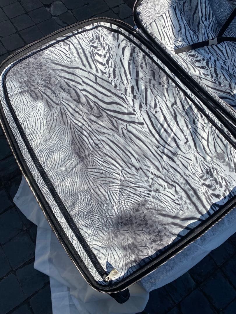 サムソナイト　アレクサンダーマックイーン　スーツケース　Samsonite