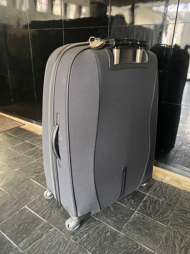 サムソナイト　アレクサンダーマックイーン　スーツケース　Samsonite