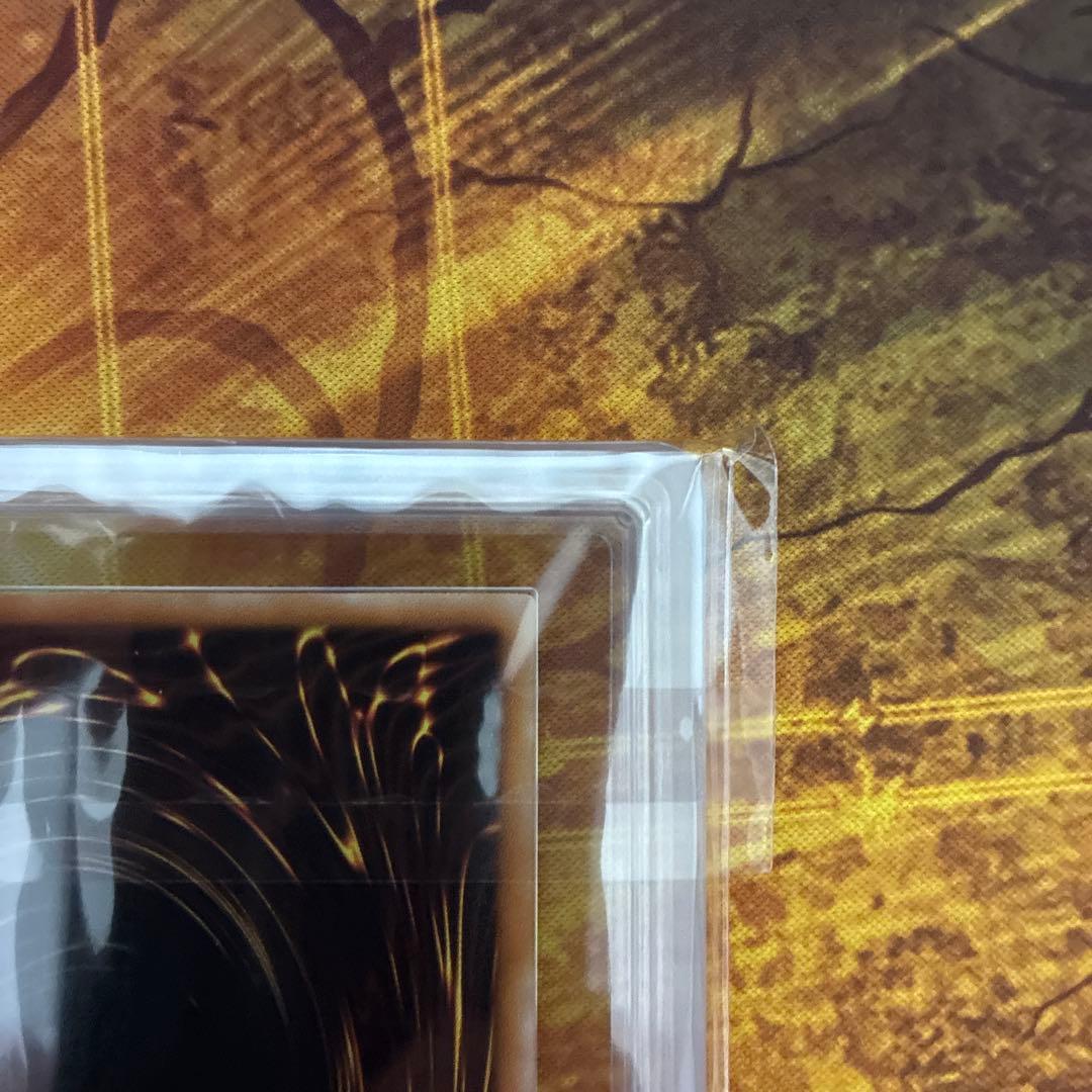 遊戯王　ブラックローズドラゴン　レリーフ　ARS9