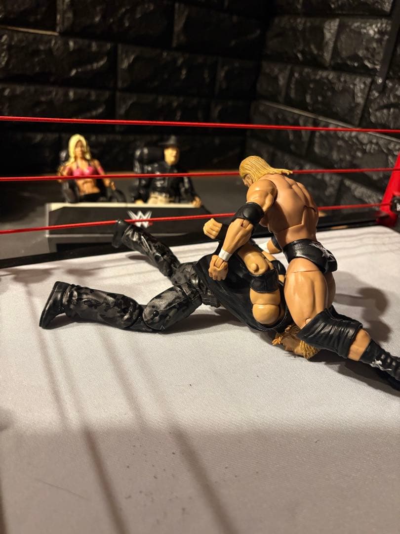 値下げ最終wwe入手困難品多数レスラー 12体+リング・トラック