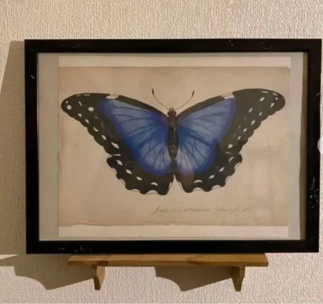 ジョンデリアンアンティークペーパーコレクション①