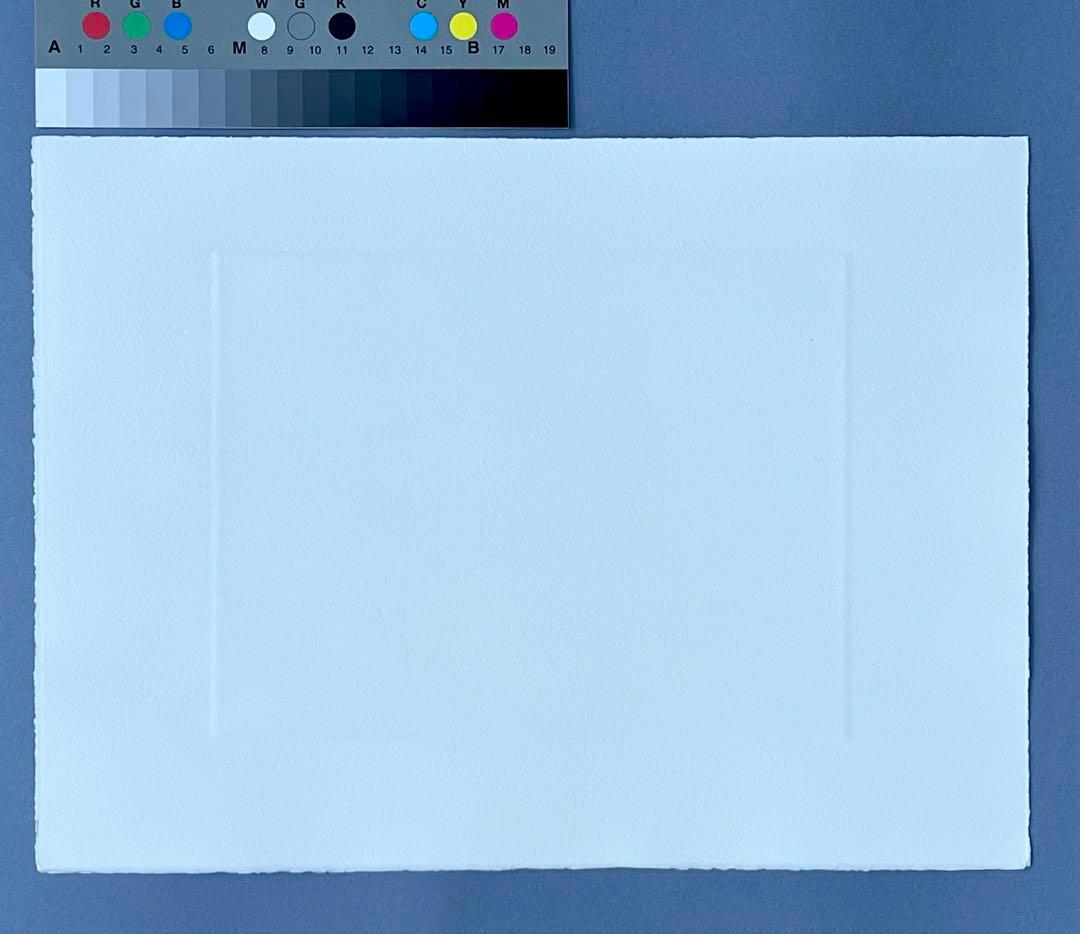 Fujiko Hemming 真作保証フジ子ヘミングFuzjko Hemming