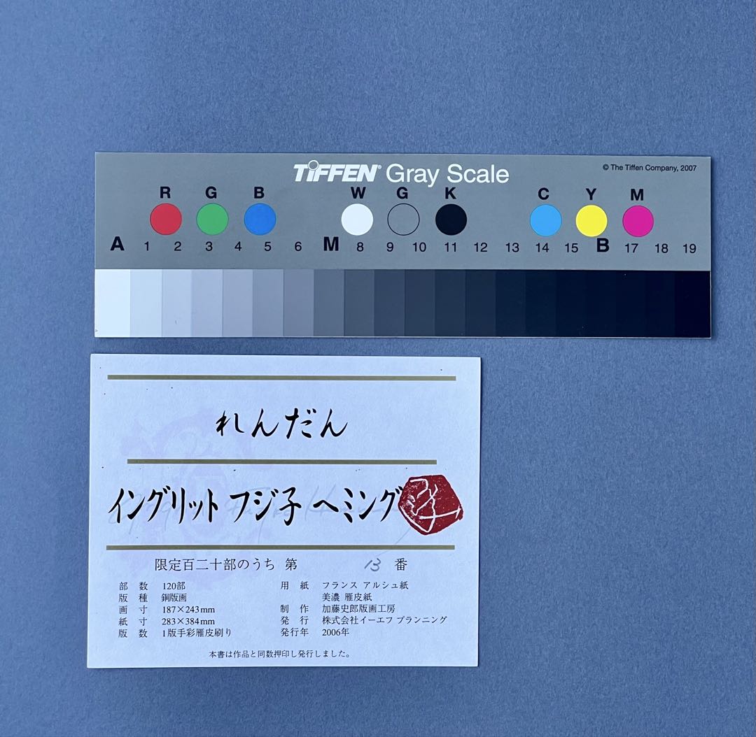 Fujiko Hemming 真作保証フジ子ヘミングFuzjko Hemming