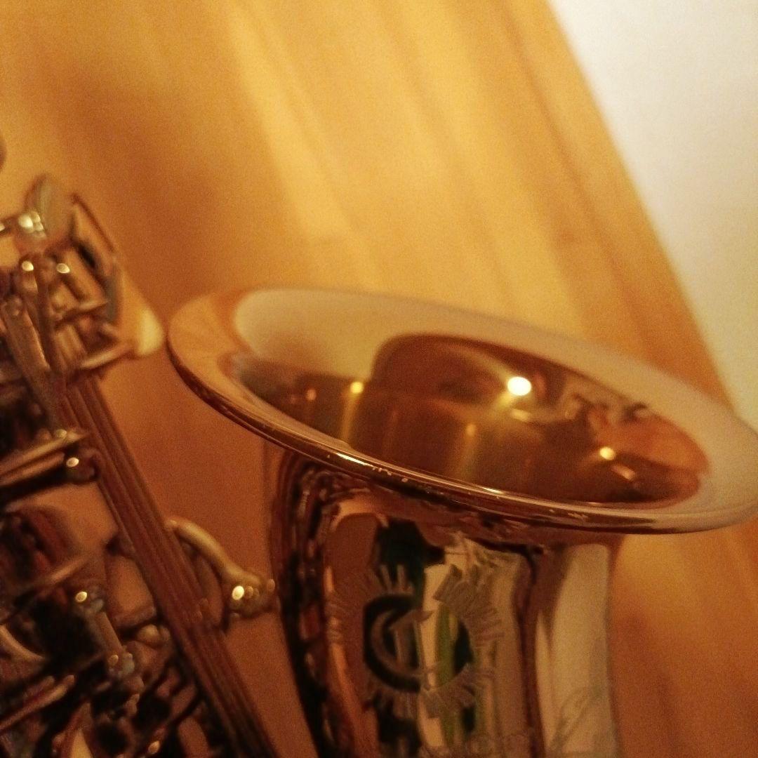 【1/5迄値下】キャノンボール ヴィンテージリボーンシリーズ アルト AVR-L