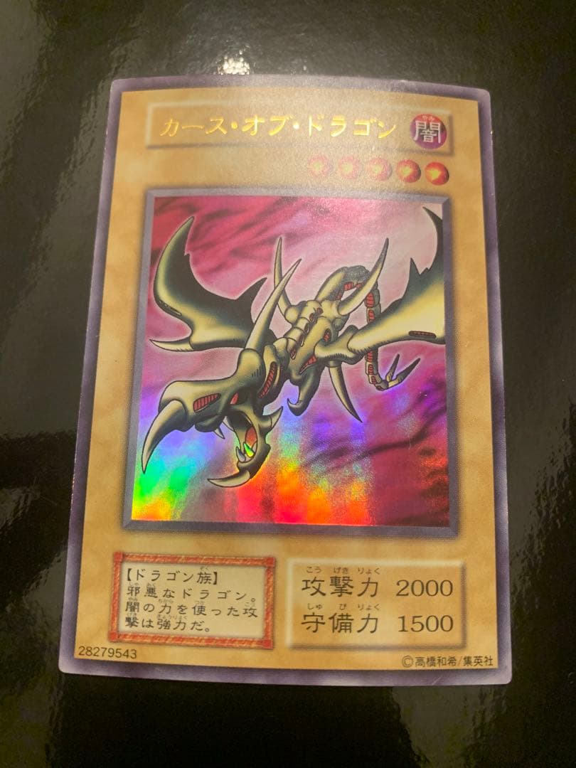 カース・オブ・ドラゴン　確認用