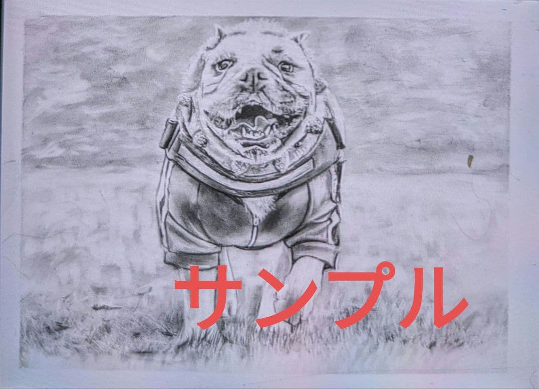 珀の鉛筆画　リクエスト用ページ　購入も可