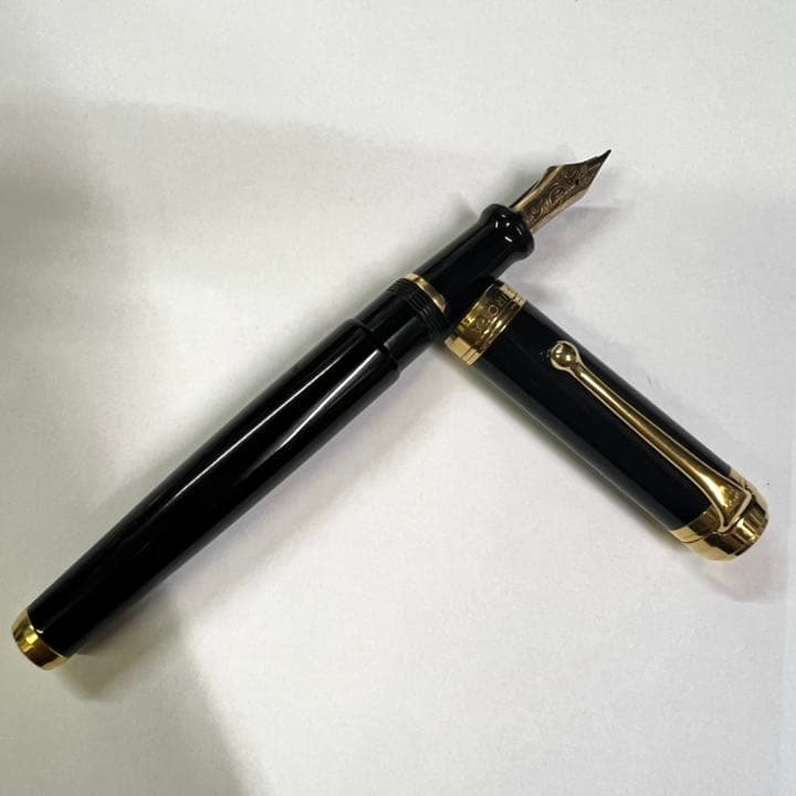 AURORA アウロラ タレンタム D12Nゴールドブラック 中字 M