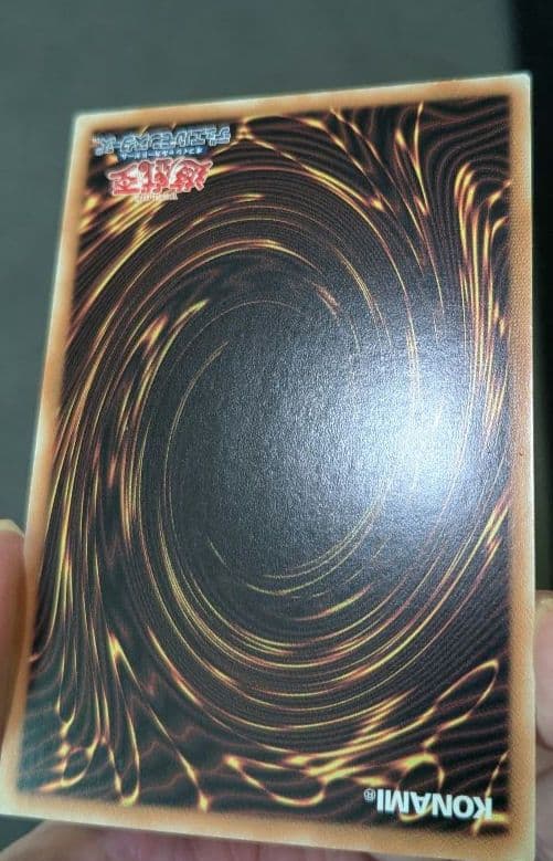 遊戯王、繁体字、中国版、偽骸神龍、ハートアースドラゴン、シク、シークレットレア