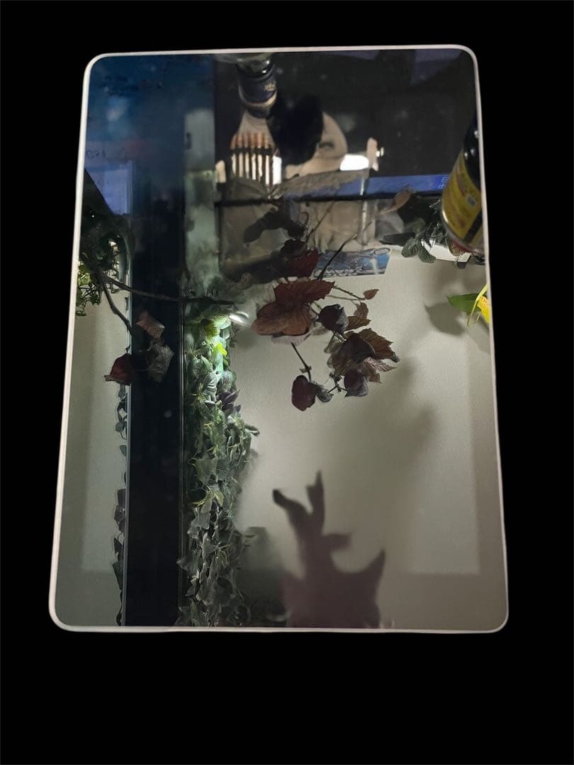 Apple iPad シルバー 本体