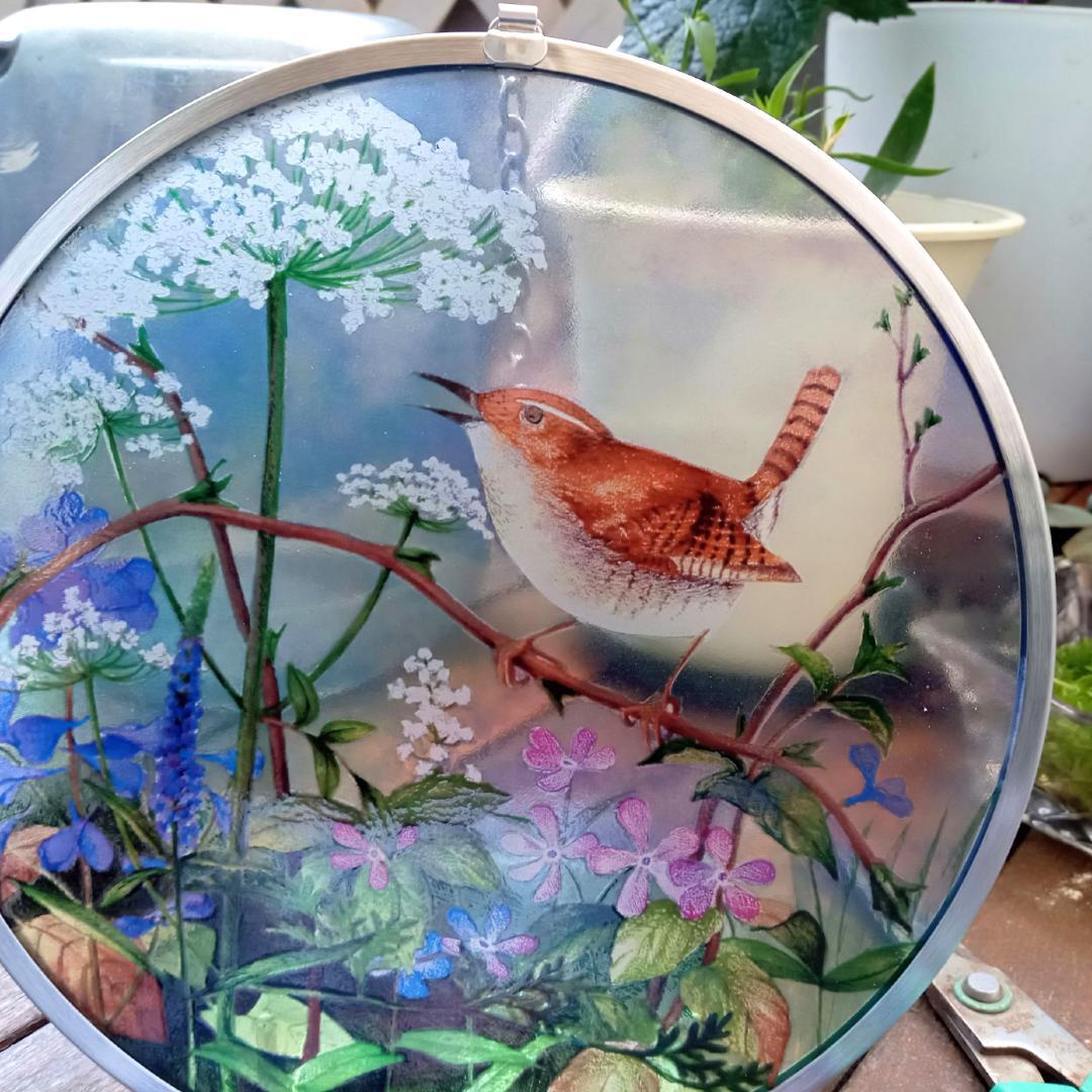 新品 花鳥・アメリカムシクイ スミレ サクラソウ カナダ・ステンドグラス社