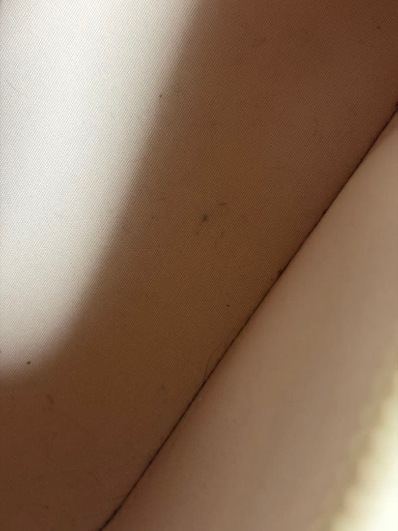 Louis Vuitton ピンクベージュ ショルダーバッグ　ヴェルニ　アルマ