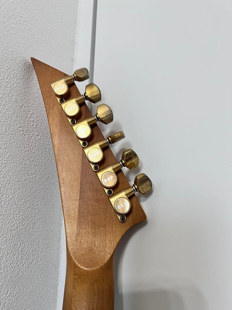 ギター ESP. Electric Guitar