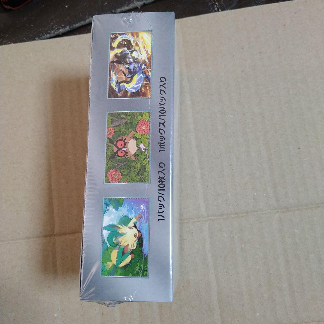 ポケモンカードゲーム テラスタルフェスEX