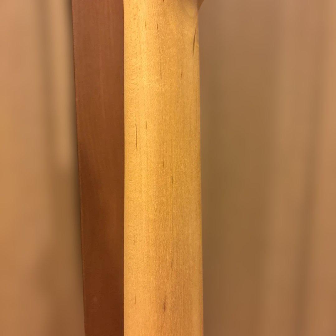 バッカス Bacchus GLOBAL SERIES テレキャスター ケース付