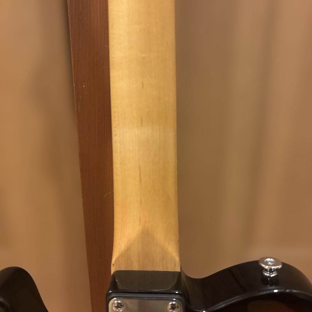 バッカス Bacchus GLOBAL SERIES テレキャスター ケース付