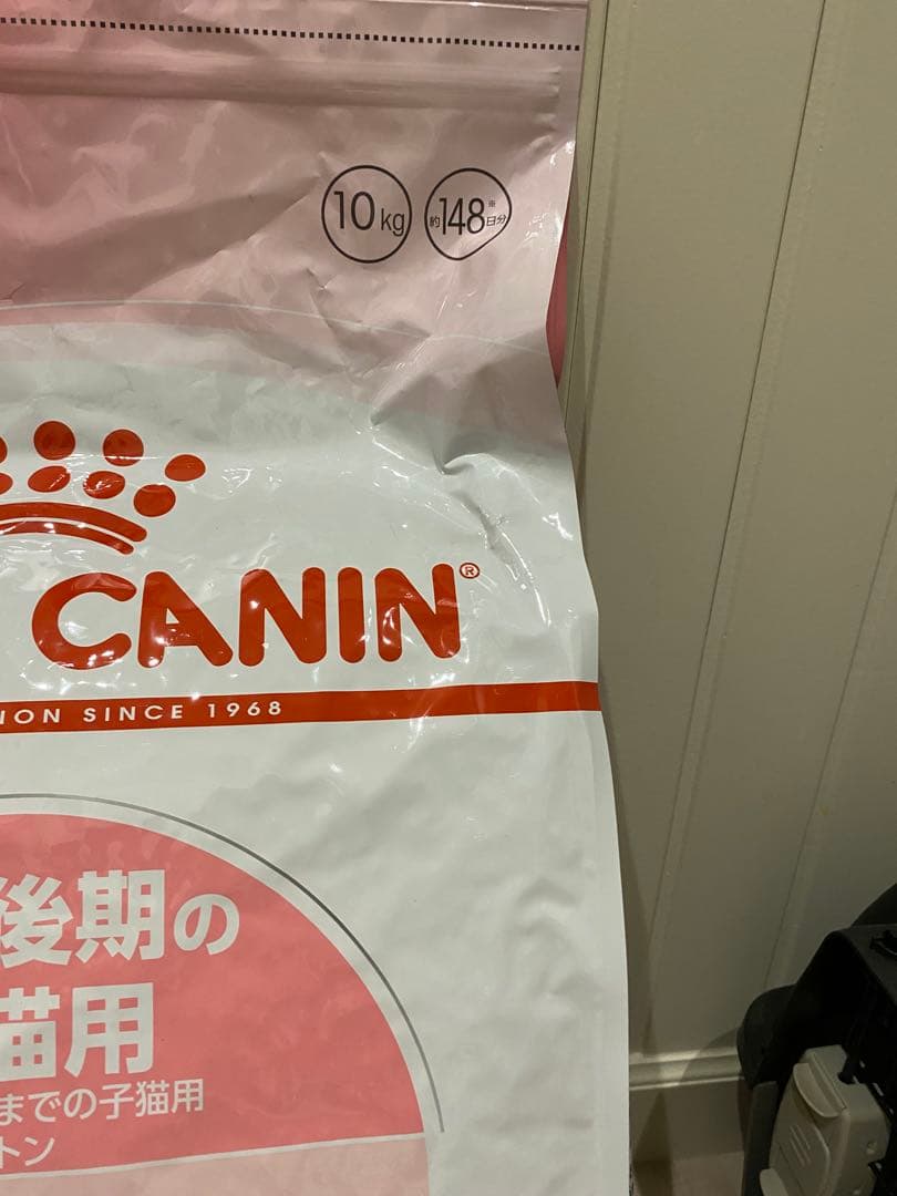  CANIN 子猫用ドライフード　キトン 10kg